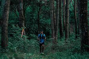 BIB: 
                            <button type="button" onclick="openModal(25235890)" class="btn btn-primary btn-sm float-right btn-popup" data-toggle="modal" data-target=".modal-high-quality">
                        <i class="fas fa-shopping-cart"></i> Add to Cart
                    </button>
                                            <button type="button" onclick="isThisMe(25235890, true)" class="btn btn-success btn-sm float-right btn-popup btn-isme hidden" data-toggle="tooltip" data-placement="bottom" title="นี่คือรูปของคุณใช่ไหม คลิกที่นี่เพื่อเอาเข้าอัลบั้ม">
                        <i class="fas fa-plus"></i> Add to album
                    </button>
                    <button type="button" onclick="isThisMe(25235890, false)" class="btn btn-warning btn-sm float-right btn-popup btn-isnotme hidden">
                        <i class="fas fa-ban"></i> Remove from album
                    </button>